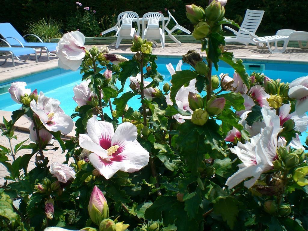 Chambres D'Hotes Le Clos Des Senteurs Malemort Luaran gambar